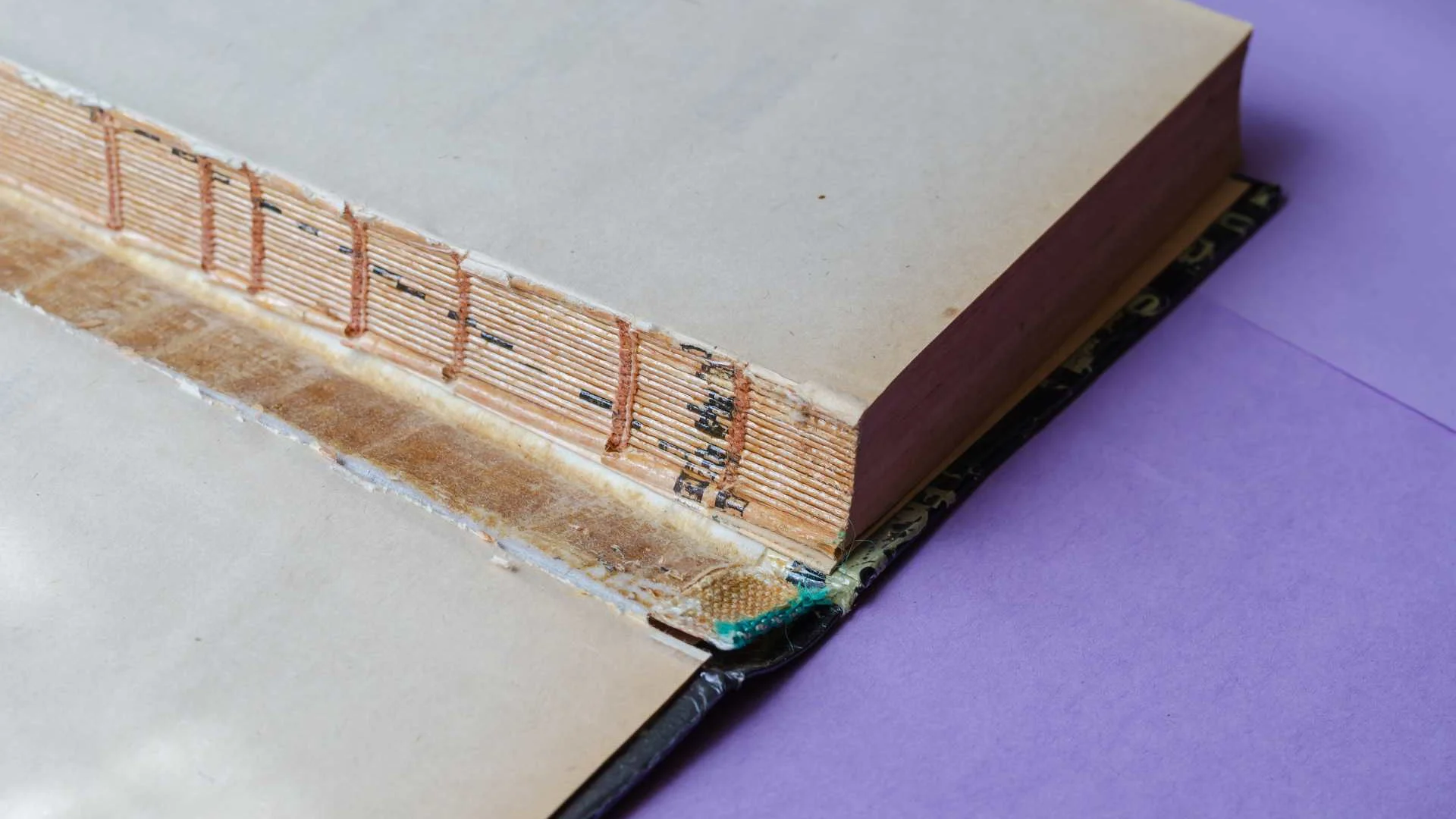 Av Diy Vs Professional Book Repair