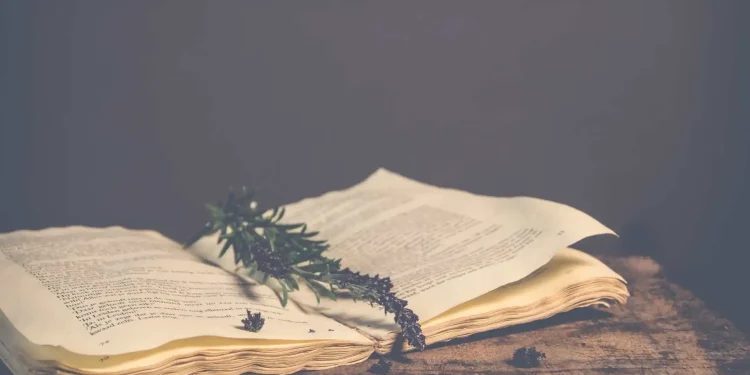 Bc Vintage Book Renewed Charm