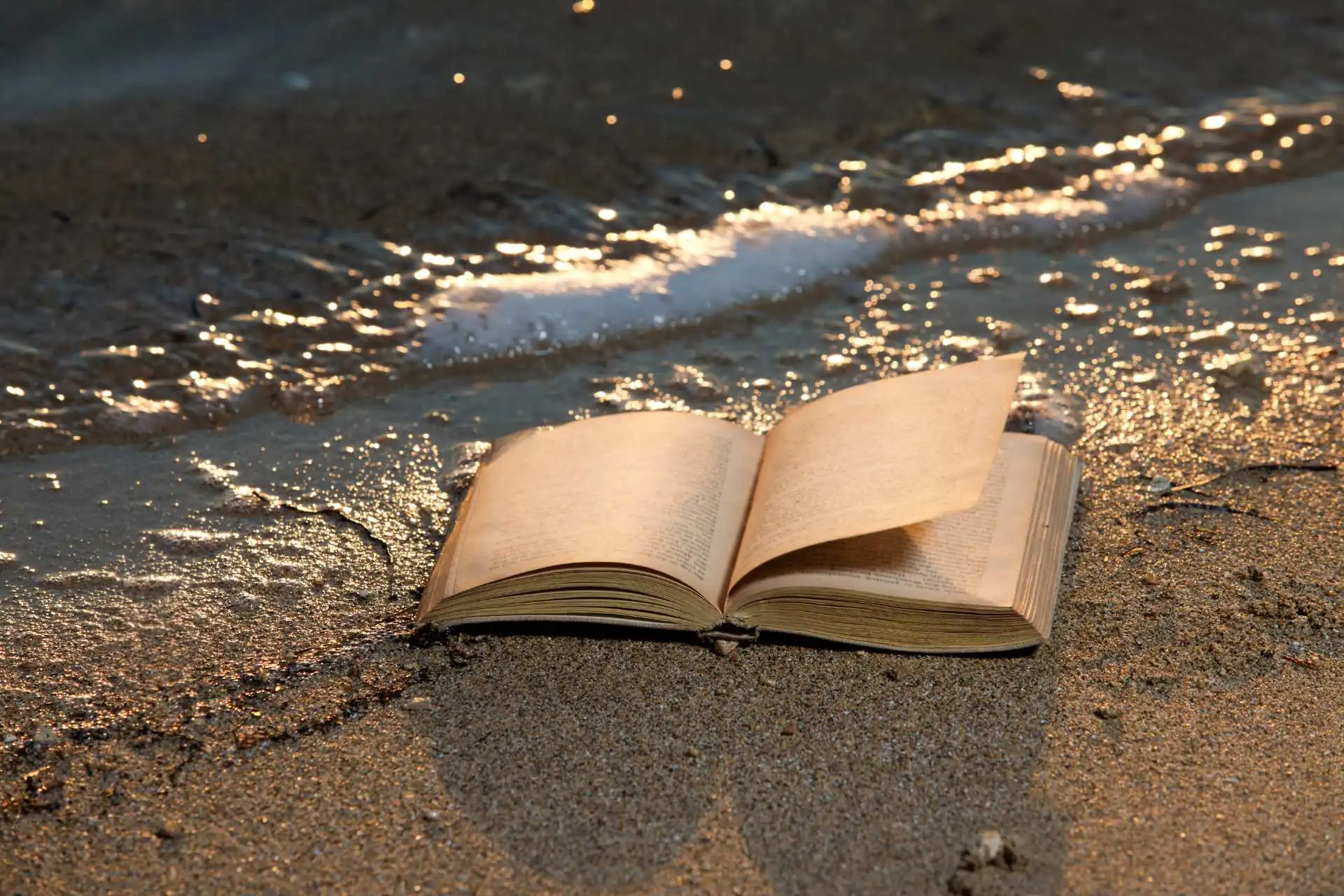 C Wet Book Water Damage Hand Wiping