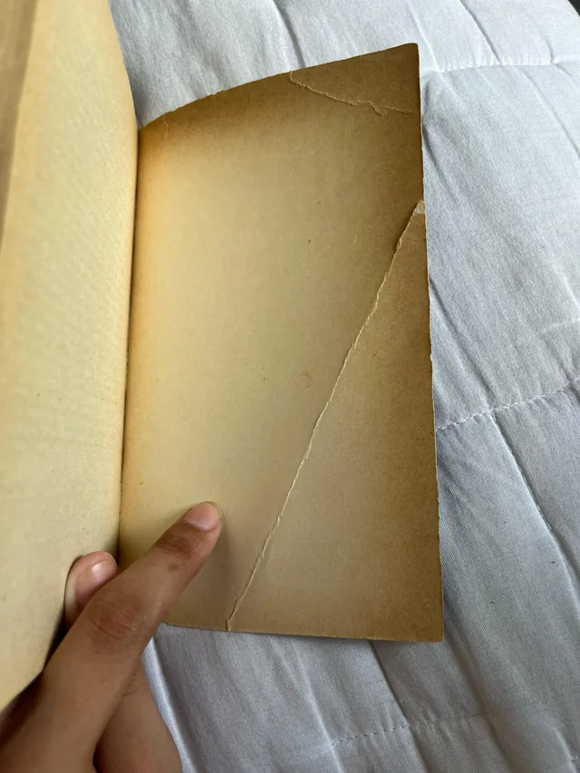 Paper Damage Fold