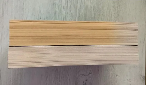 Sunning Damage Book Repair