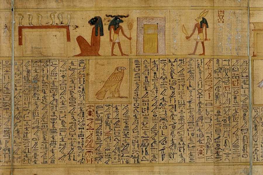 Papyrus Paper