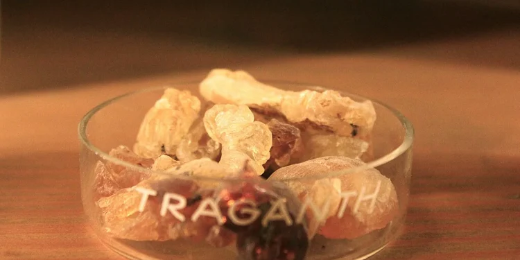Tragacanth Gum In Glass Dish