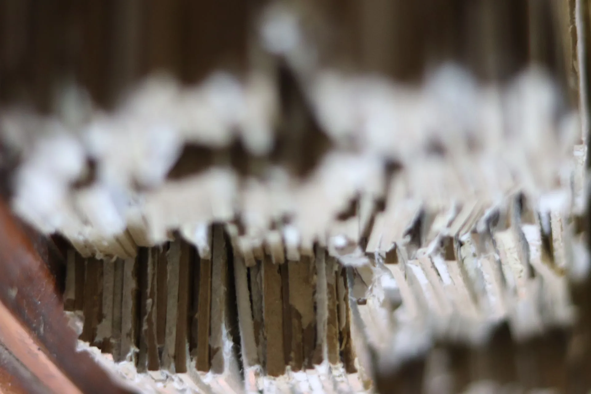 Tampilan close-up ekstrem dari tepi karton yang berlapis dan terkoyak, menciptakan tekstur yang abstrak dan menarik.