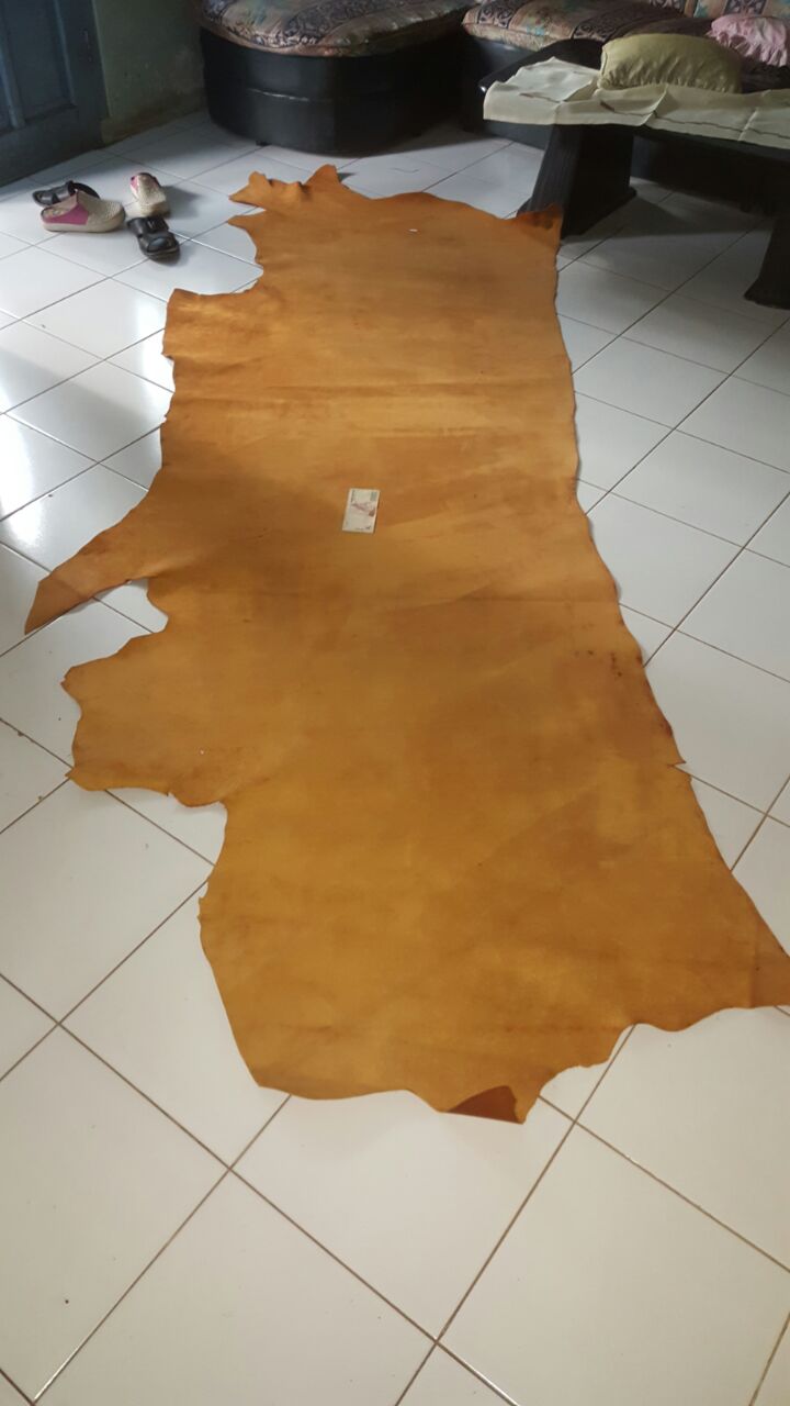 A large, raw brown leather hide spread out on a white tiled workshop floor