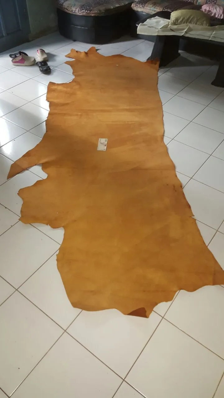 A whole hide spread out on the workshop floor, with a card laid on it for scale