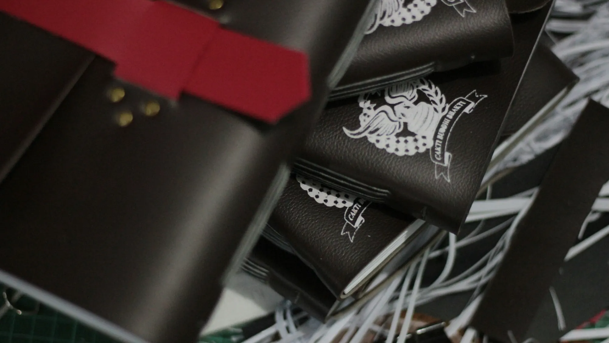 A tight stack of dark leather journal covers, each debossed with the same institutional emblem, with a red divider tab and brass rivets visible