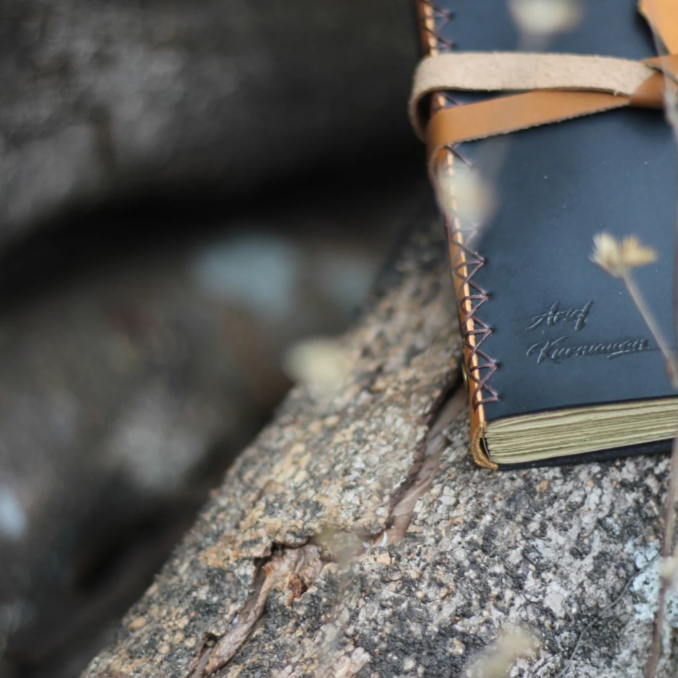 A black leather journal with cross-stitching placed on top of a log.