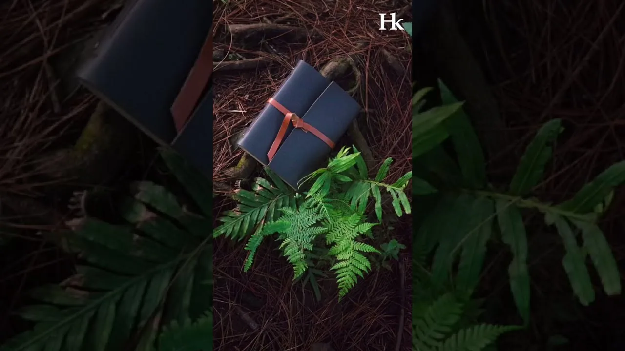 Dua jurnal kulit diletakkan di antara pakis di hutan gelap