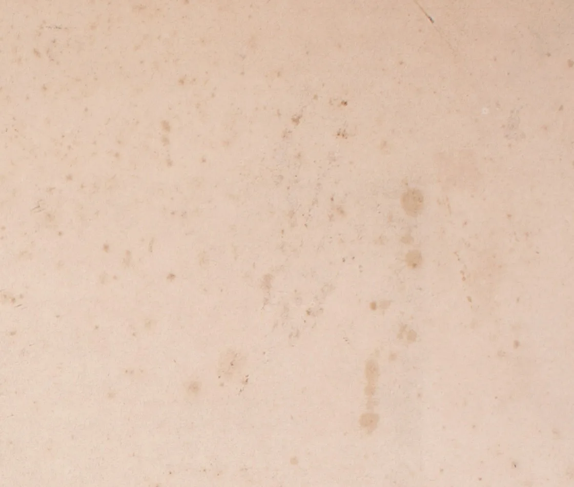 Macro close-up of an aged paper surface covered in scattered rust-brown foxing spots and faint overall yellowing