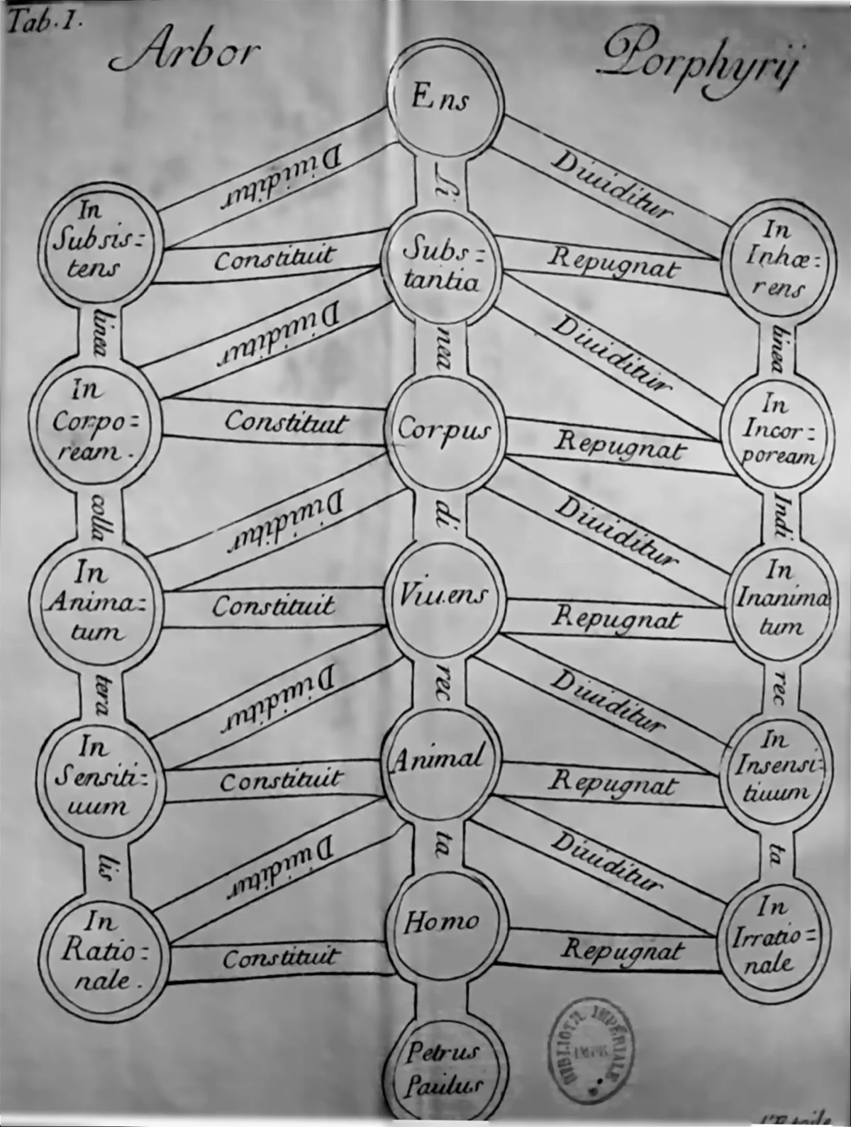 Diagram Pohon Porfiri 1730: simpul-simpul bulat berjenjang dari “Ens” di puncak hingga “Homo” di dasar, tiap pasang cabang diberi label “Dividitur”, “Constituit”, atau “Repugnat”