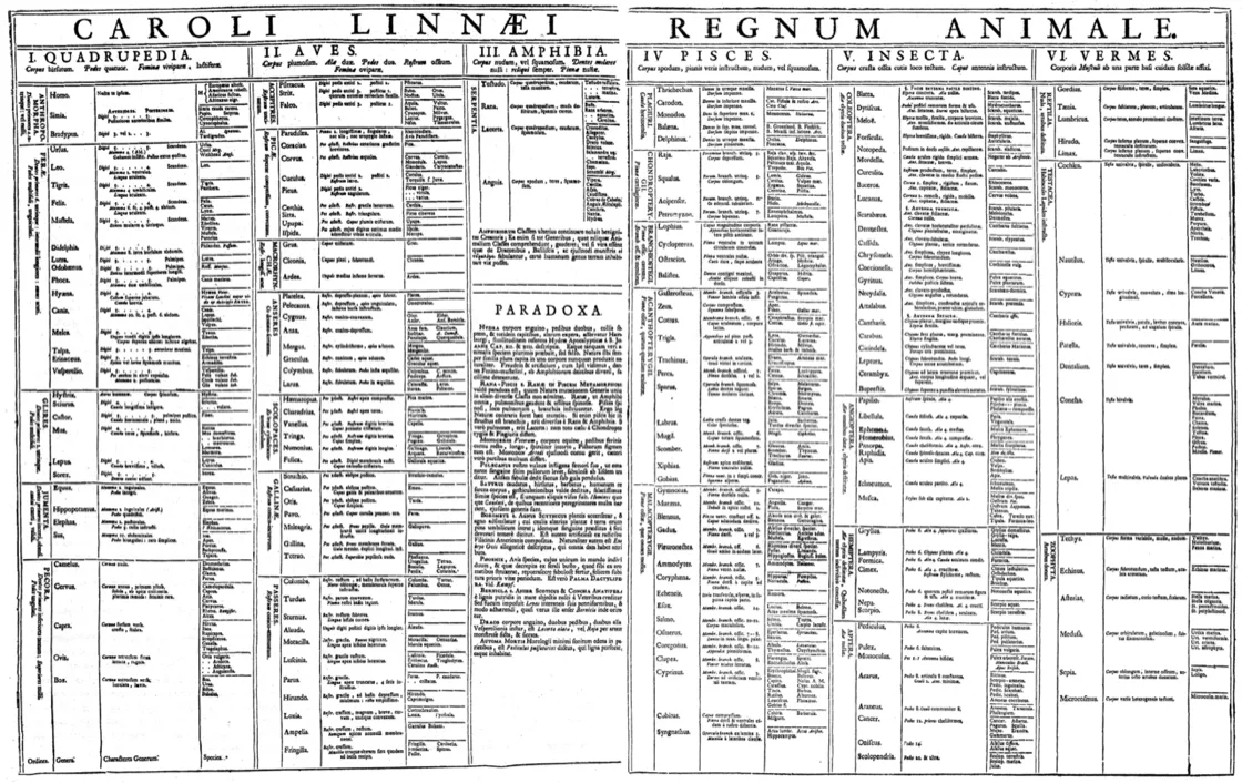 Tabel Regnum Animale dari Systema Naturae (1735) karya Linnaeus, enam kolom kelas hewan — Quadrupedia, Aves, Amphibia, Pisces, Insecta, Vermes — masing-masing berisi baris ordo, genus, ciri, dan spesies, dengan kotak Paradoxa di tengah untuk makhluk yang keberadaannya diragukan
