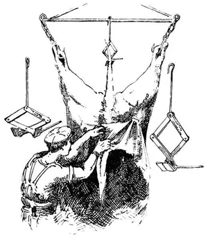 Fig. 2 PIM'S SYSTEM OF FLAYING