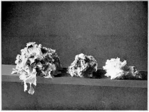 Cut— Page 59 Washed— Page 62 Bleached— Page 63 RAGS IN VARIOUS STAGES
