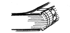Showing Method of Attaching Tape Slips or Ends of Bands to a Split Board Leaving a “French Joint” From report of the Committee on Leather for Bookbinding. Edited for Society of Arts. London: Bell & Sons, 1905.