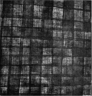 Fig. 1. —Sheet of Papyrus, showing the layers crossing one another (Evans).