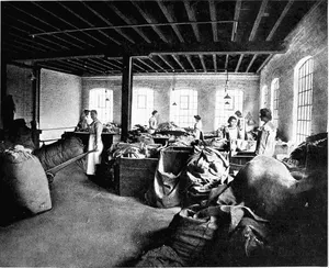 Fig. 6. —A Rag Sorting House.