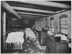 RAGROOM, PIONEER MILL, CRANE & CO. The two girls in the foreground are sorting shirt cuttings. Those beyond are cutting them into suitable sizes preparatory to boiling.